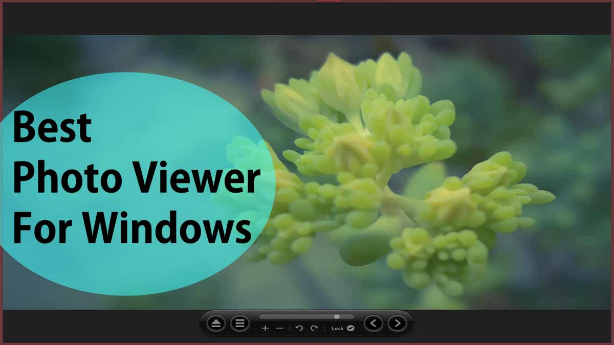 10 Best Photo Viewer for Windows 10 PC In 2022