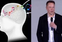 neuralink music to brain