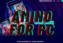 AMINO FOR PC