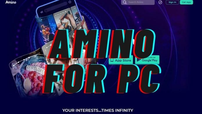 AMINO FOR PC