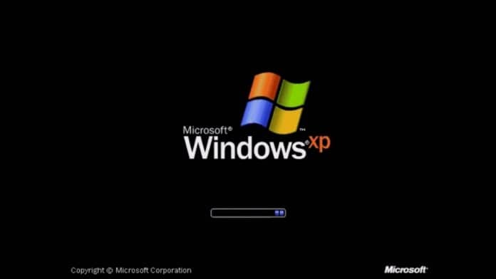 windows xp source code