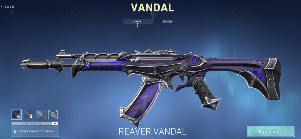 Best Vandal Skins in Valorant