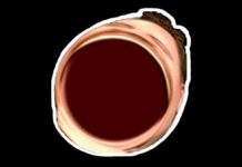 omegalul-twitch-emote