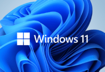 Fake Windows 11