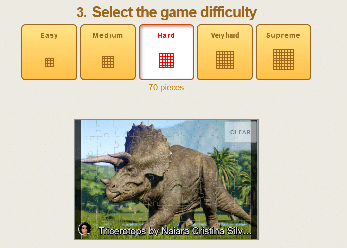 Puzzle difficulty level