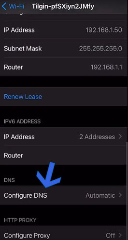 configure DNS on iOS