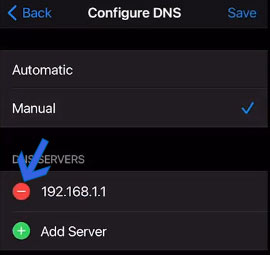 remove DNS on iOS