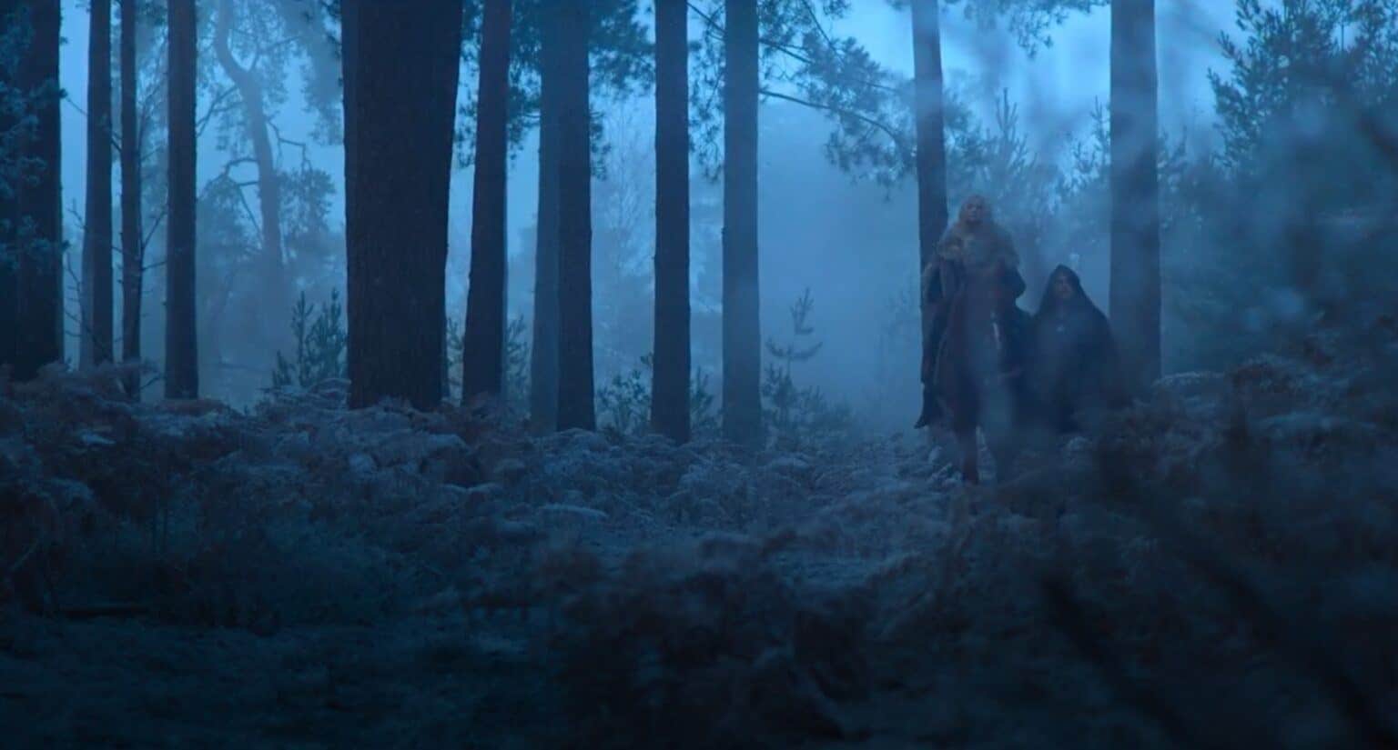 The Witcher Season 2 Premiere Leaks On Pirate Sites Days Before Official Release - 87