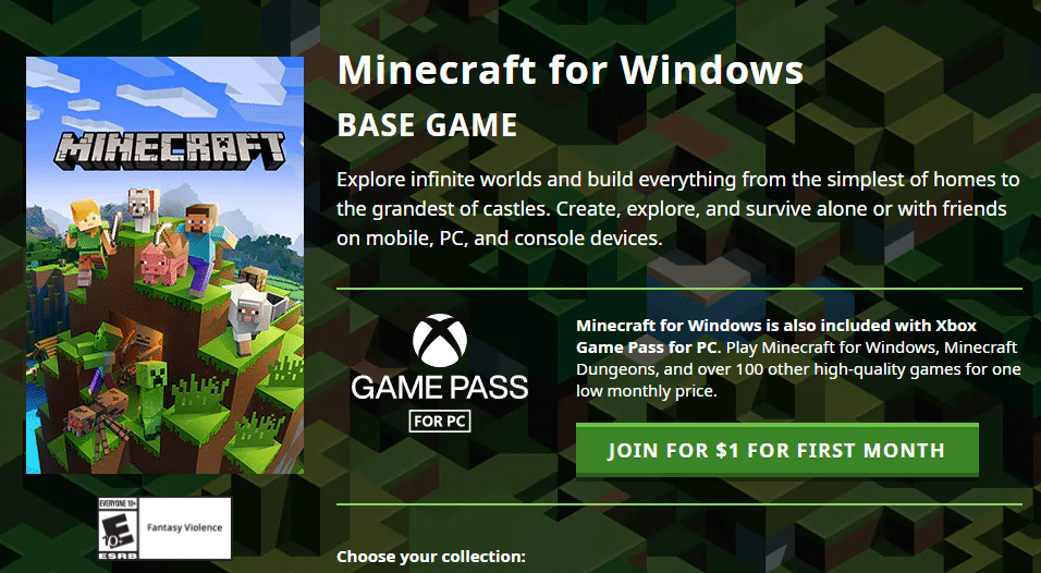Minecraft Base Game