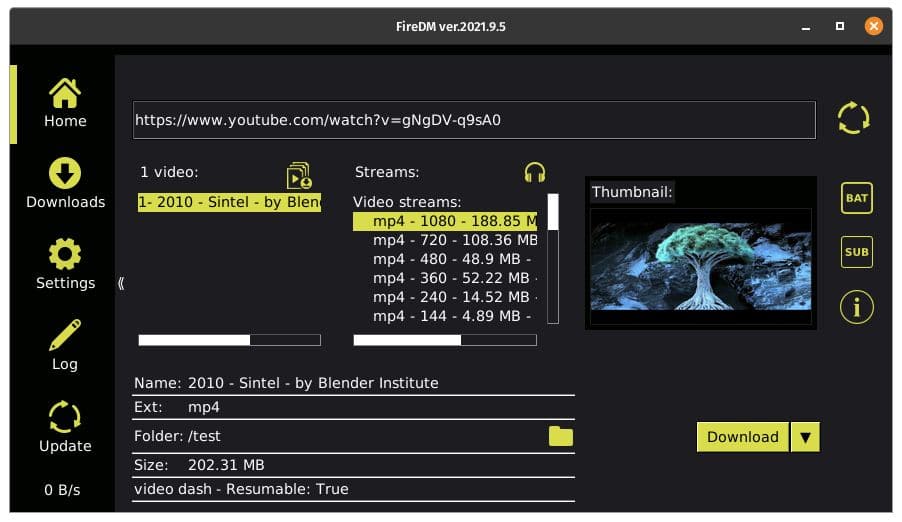 Internet download manage alternative