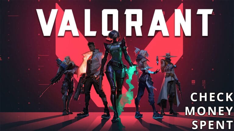 How much spent on Valorant