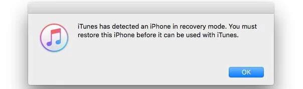 itunes restore option