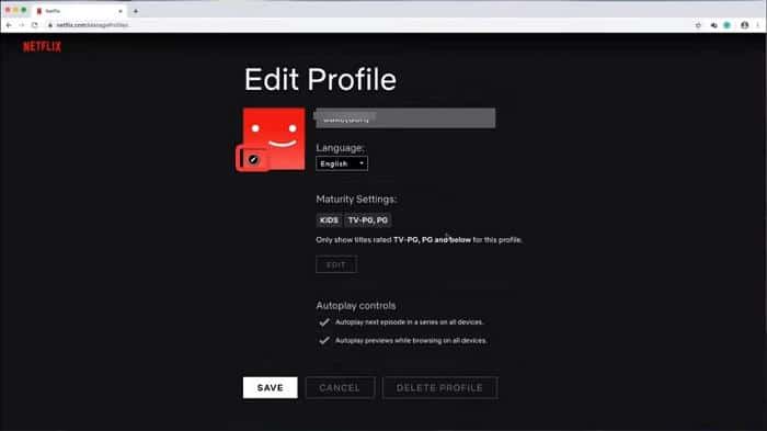 Edit Netflix Profile
