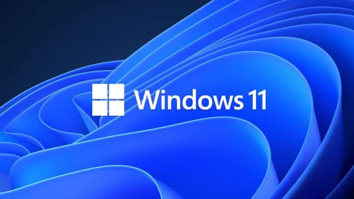 Windows 11 Update bug