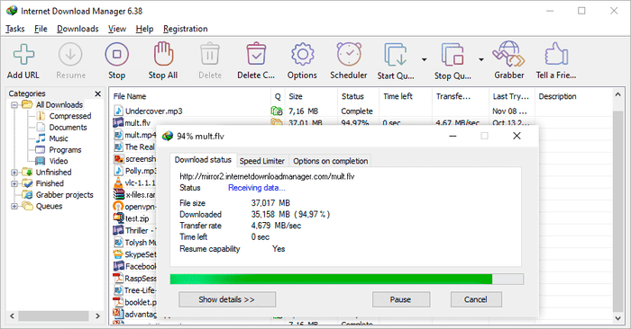 Internet Download Manager - best video downloader for Windows 11