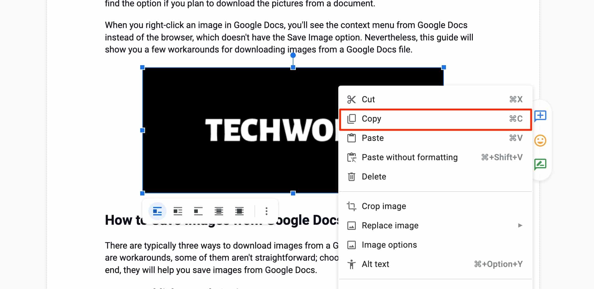 Copy image from Google Doc