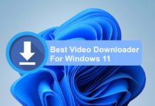 Video Downloader for Windows 11