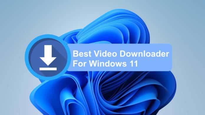 Video Downloader for Windows 11