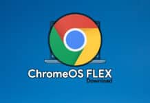 Download ChromeOS Flex