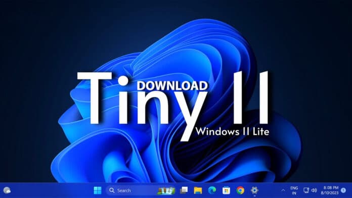 Download Tiny11 ISO