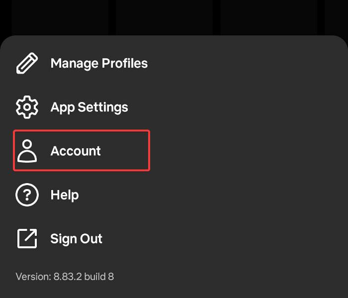 Netflix Account Settings