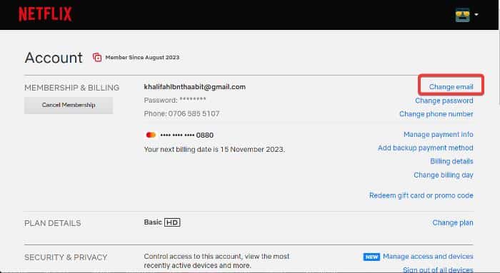 Change Netflix Email
